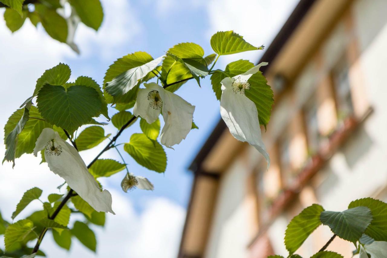 Gaestehaus Musmann Hannoversch Münden Esterno foto