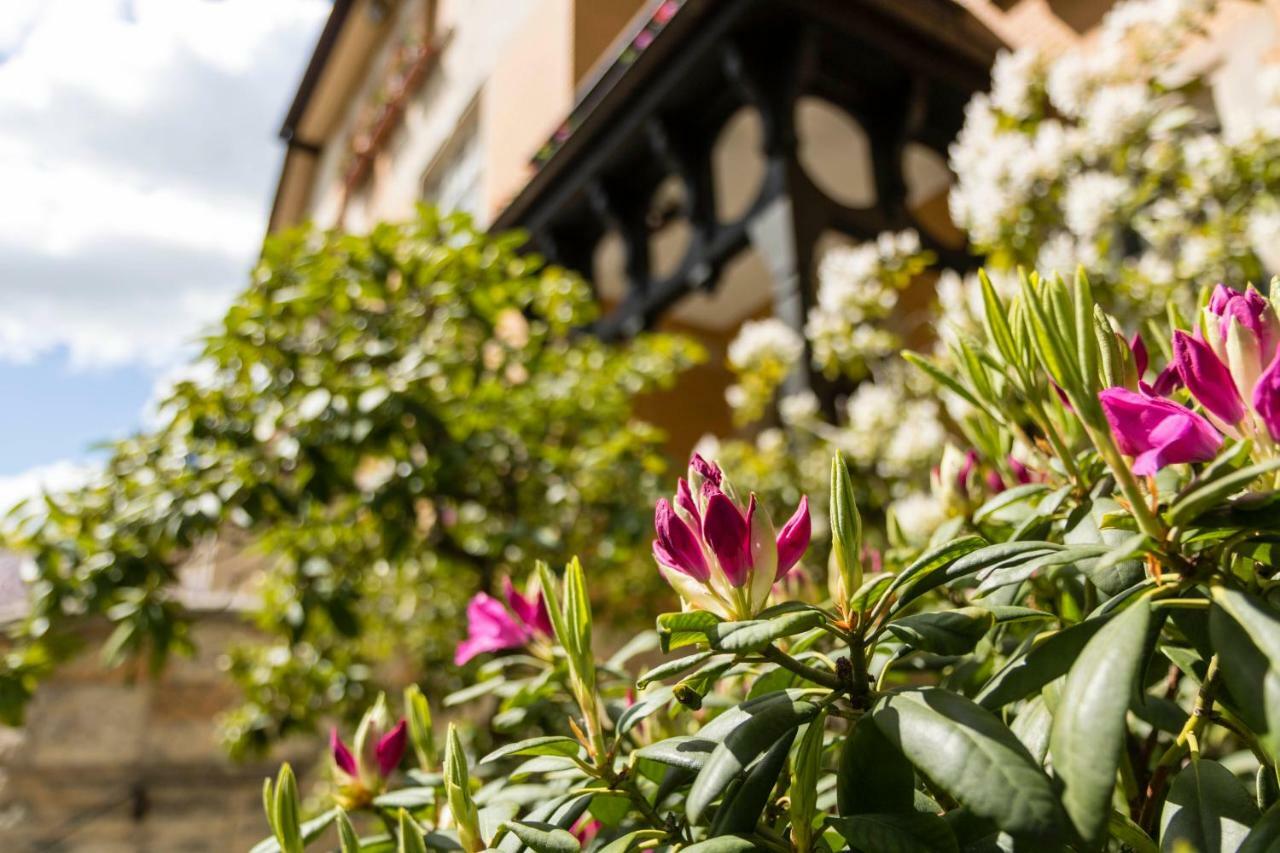 Gaestehaus Musmann Hannoversch Münden Esterno foto